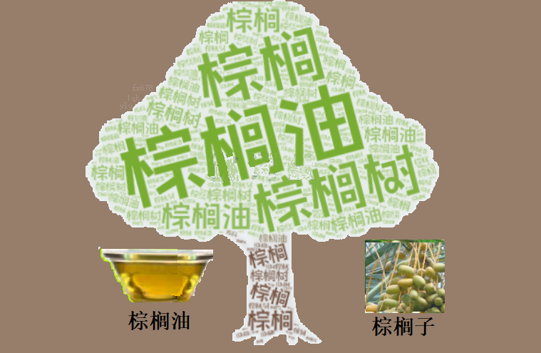 棕榈油月线两连阴 4200林吉特支撑位面临考验